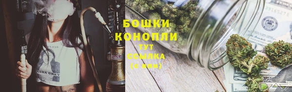 крисы Лабытнанги
