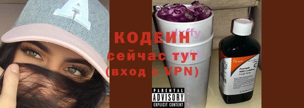 крисы Лабытнанги