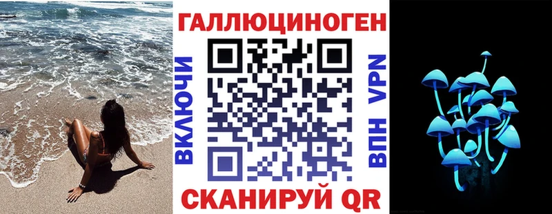 где продают наркотики  Малгобек  Галлюциногенные грибы прущие грибы 