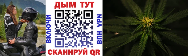 как найти наркотики  Малгобек  Марихуана OG Kush 